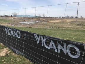 Vicano Construction has cleared a large swath of land on the south side of the Lynden Park Mall property in preparation for development. Expositor Photo