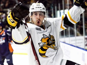 Sarnia Sting right-winger Sean Josling was an OHL third-team all-star in the 2019-20 season. (Mark Malone/Chatham Daily News/Postmedia Network)