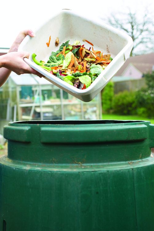 Condo green bins to be considered for pilot project The Stratford