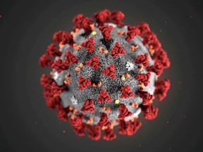 The ultrastructural morphology exhibited by the 2019 Novel Coronavirus (2019-nCov), which was identified as the cause of an outbreak of respiratory illness first detected in Wuhan, China, is seen in an illustration released by the Centers for Disease Control and Prevention (CDC).