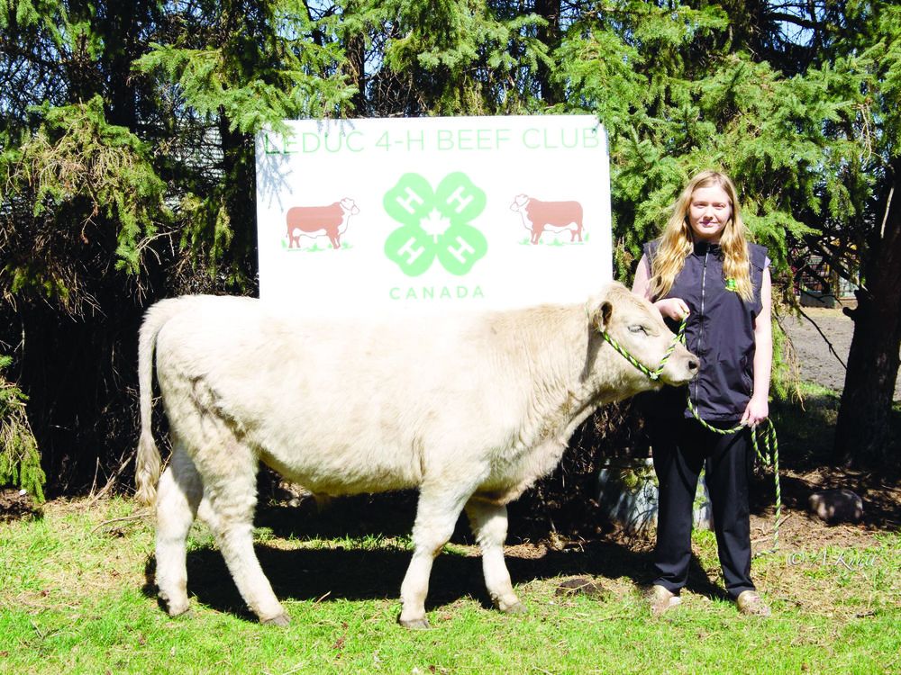 Leduc 4H Beef Club enters its 70th year Leduc Representative