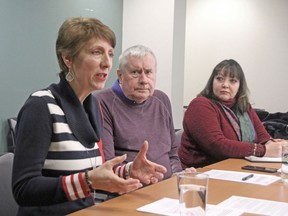 Nickel Belt MPP and NDP health critic France Gelinas, Ontario Council of Hospital Unions president Michael Hurley and Natalie Mehra, executive director of the Ontario Health Coalition, speak at a February media conference in North Bay. Nugget File Photo