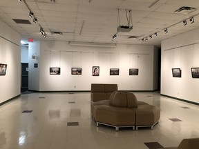 The new art exhibit in the main gallery at Prairie Fusion Arts and Entertainment, (supplied photo)