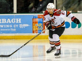 Former Greyhounds star Michael Bunting played with AHL's Tucson Roadrunners. Photo provided