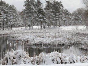 Snow cloaks the shoreline of a pond at Fielding Parkin this file photo