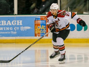 Former Greyhounds star Michael Bunting has been a consistent scorer for the AHL's Tucson Roadrunners.