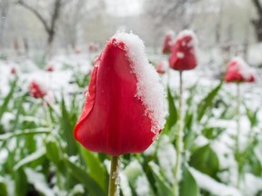 (Getty Images)