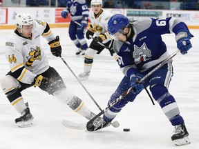Chase Stillman, right, of the Sudbury Wolves, and Jacob Perreault, of the Sarnia Sting, battle for the puck during OHL action at the Sudbury Community Arena in Sudbury, Ont. on Friday February 14, 2020.