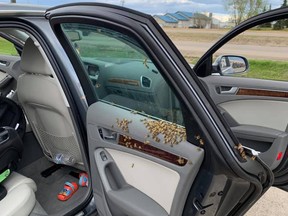 Bees attempt to make a hive inside a traveller's vehicle in Valleyview, Alta. on Wednesday, May 20, 2020.