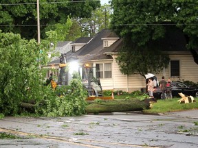 This is one of two trees that fell across Lacroix Street in Chatham Wednesday night after thunderstorms rolled through. (Ellwood Shreve, The Daily News)