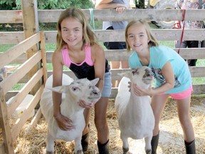 4H members Natalie Parsons, left, with her entry Sniffles, and Janelle Parsons with her sheep, Cookie, attended the Bayfield Fair in 2018. File photo/Postmedia Network