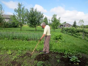 This week our columnists write about the importance of weeding. Handout