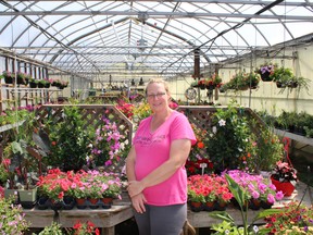 Julie Van Damme, owner of All Seasons Nursery and Flowers in Wallaceburg, in the nursery's greenhouse. Jake Romphf