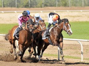 Three horses come down the stretch during the 2018 Alberta Derby at Evergreen Park. The local race track will start the summer racing season on July 11, with no fans in attendance. Betting and watching the races online will go-ahead as planned. Evergreen Park General Manager Dan Gorman is hoping people will be allowed back in the facility, at some point this racing season, to watch the horses in person