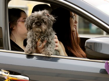 And even furry friends wanted to note that love is love.