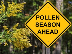 Allergy season is tough enough. But it's worse now thanks to COVID-19. Getty Images