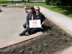 Jason and Sarah Rottier, owners of Rottier Excavating, organized the planting of flowers in the raised beds at Civic Square Park – Fountain Park – in Wallaceburg on June 13, with the help of their employees and the donation of flowers from All Seasons Nursery & Flowers. Ellwood Shreve/Postmedia Network