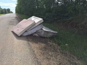 At the June 23 meeting, council voted 8-1 in favour of Ward 6 Coun. Linton Delainey's motion for administration to investigate the costs associated with installing warning signage in regards to illegal dumping. Photo Supplied