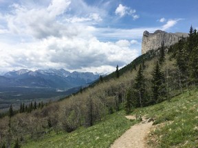 The hiking trail on Yamnuska in Alberta's Bow Valley Wildland Provincial Park, part of Kananaskis Country. The Alberta government has quietly halted the closure of 17 provincial parks and recreation sites this year because of COVID-19. The province had initially planned to fully or partially close 20 provincial parks and hand off another 164 to third-party managers. Officials quietly updated the COVID-19 response page on the Alberta Parks website.THE CANADIAN PRESS/Colette Derwori