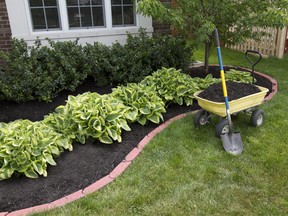 Too much mulch can be smothering, warns columnist Denzil Sawyer. Postmedia