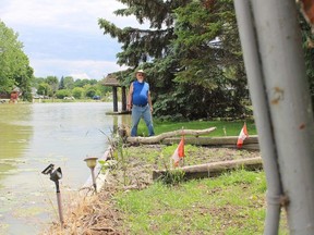 Ron McLean stands by where the Sydenham River has breached his seawall on five occasions in 2020, causing damage to his Wallaceburg property. (Jake Romphf/Courier Press)