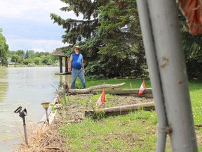 Ron McLean stands by where the Sydenham River has breached his seawall on five occasions this year, causing damage to his Wallaceburg property.