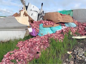 A semi-trailer hauling raw meat hit a concrete divider on Hwy. 616 at the Millet overpass Wednesday.