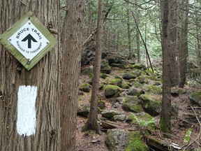 While most of the Bruce Trail is again open, there are still some sections closed in Grey-Bruce, including some lengthy stretches on the Bruce Peninsula.