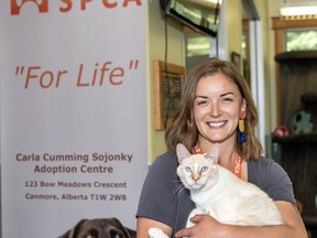 Bow Valley SPCA adoption centre manager Meghan Keelan holds a cat named Mango that is up for adoption at the centre located in the Elk Run Industrial area of Canmore. photo by Pam Doyle/www.pamdoylephoto.com