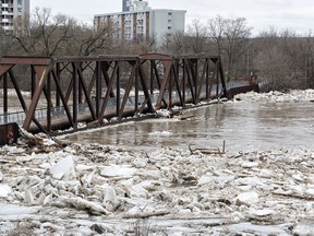 The Brant's Crossing Bridge was damaged in 2018 by an icejam on the Grand River.