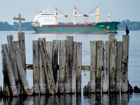 The bulk carrier Mandarin makes her way up the St. Lawrence River past the former ferry dock and CPR yard area along the Heritage River Trail in the east end of Prescott on Sunday evening, while a cormorant keeps watch. (TIM RUHNKE/The Recorder and Times)