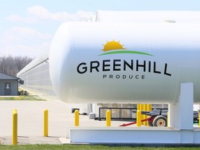 Greenhill Produce is a greenhouse operation growing sweet bell peppers in Kent Bridge, Ont. Photo taken Monday, April 27, 2020. (Mark Malone/Chatham Daily News)