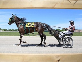 A horse runs on the backstretch before its race at the Dresden Raceway season opener in Dresden, Ont., on Sunday, June 7, 2020. Mark Malone/Chatham Daily News/Postmedia Network