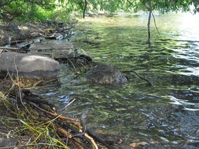 Despite the existence of contaminants in various areas along Cornwall's waterfront, it is unlikely that they pose a threat to city residents. Photo taken on Thursday June 18, 2020 in Cornwall, Ont. Francis Racine/Cornwall Standard-Freeholder/Postmedia Network