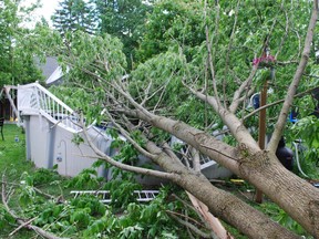 Wednesday's storm caused a large tree to fall down and crush a family's above-ground swimming pool in Owen Sound. DENIS LANGLOIS