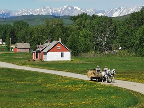 The Bar U Ranch National Historic Site, located less than 30 minutes from High River, near Longview, is open with restrictions due to the COVID-19 pandemic.
