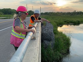 Mabyn Armstrong of Turtles Kingston and Loyalist-Cataraqui Dist. Coun. Simon Chapelle watch the wildlife from the Princess Street bridge over Collins Creek in Kingston, Ont. on Monday, June 22, 2020. Elliot Ferguson/The Whig-Standard/Postmedia Network