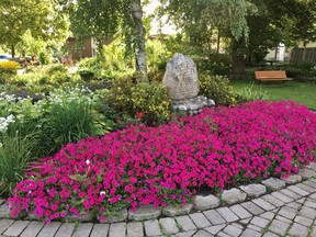 The Gananoque Horticultural Society is inviting everyone in town to participate in its petunia garden competition in celebration of the groupÕs 100th anniversary.  
Supplied by Joan MacKinnon