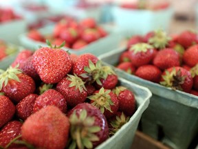 To eliminate unnecessary handling of goods, two sizes of flat-rate containers will be available for berries this season at Leisure Farms.
Postmedia Photo