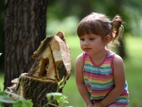 Hannah Zimmer, age 3, takes a good look at a gnome house in the Fairy Gardens located in the Spruce Haven Recreation Area in Melfort. Gnomes, fairies and who knows what other magical creatures abound in the forest. Photo Susan McNeil.