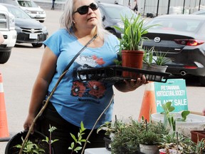 Claire Hawke, who recently moved to the area from the United Kingdom, attended her first Petawawa Horticultural Society plant sale, held in front of Looking Glass Toys and Games in the Petawawa Market Mall May 24. The sale is the groups largest fundraiser of the year.