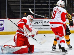 Photo provided
Soo Greyhounds netminder Nick Malik braces himself for a save in OHL action against the Hamilton Bulldogs.