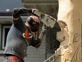 Local chainsaw artist Kelly Davies carves a spruce tree in Lynn Audet’s Sherwood Park backyard on Thursday, June 4. The carving has a bear theme and took multiple days to complete. Ian Kucerak/Postmedia