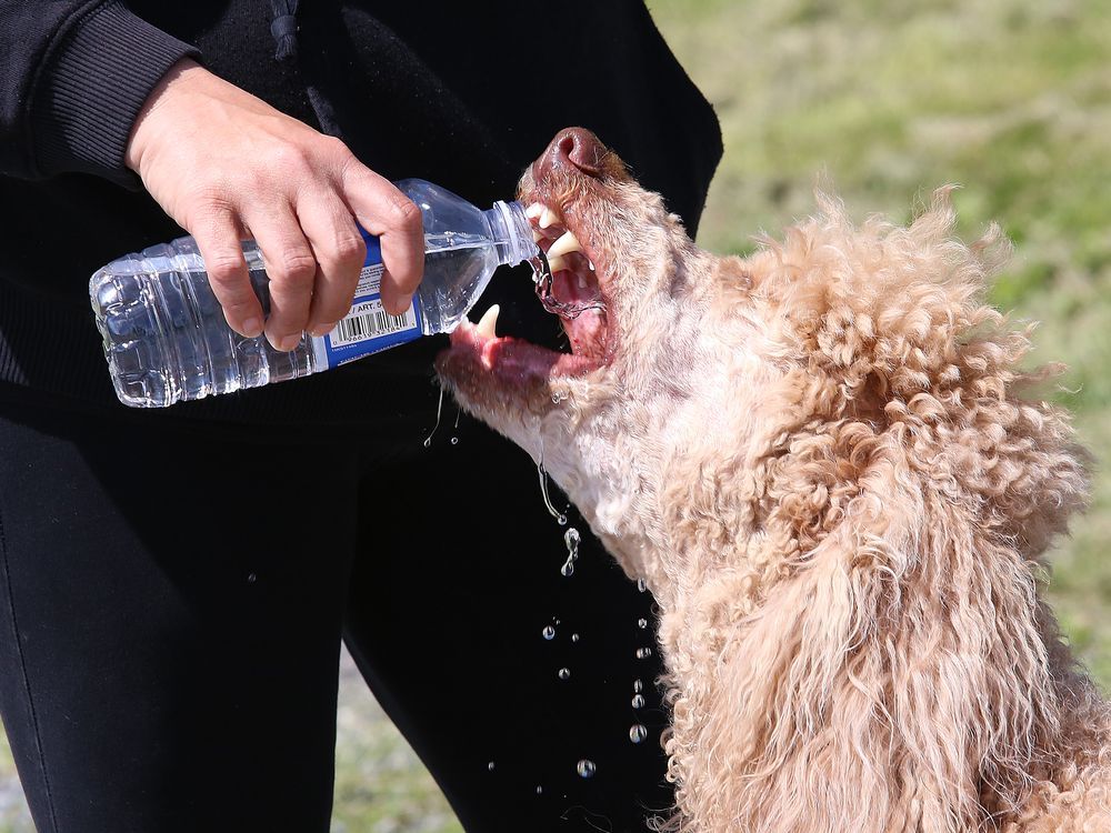 Greater Sudbury's water quality report for 2022 now available Sudbury