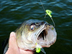 The walleye opener is coming up in a month and many families have plans for remote Crown land expeditions where nothing could be safer, argues Ron Alton. Postmedia Network file photo