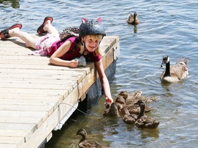 Emma Sutton, 8, feeds ducks and geese on Ramsey Lake on Thursday.