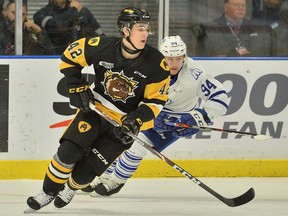 Cameron Supryka plays for the Hamilton Bulldogs during the 2019-20 OHL season. (TERRY WILSON/OHL Images)