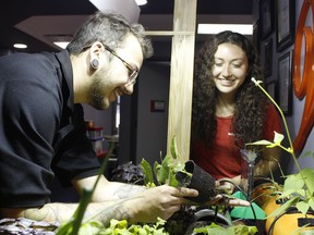 Mason Charbonneau, a science communicator with Science Timmins discusses the indoor hydroponic system with one of their summer science students, Abby Bélanger at the Science Village on Monday.

RICHA BHOSALE/The Daily Press
