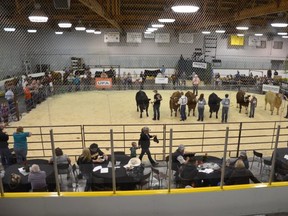 Instead of operating out of the Moyer Recreation Centre, the $70-million MPAF would allow the Josephburg Ag Society and many others to host premier events. Strathcona County council will debate Mayor Rod Frank's six-month project deferral motion on July 7. Photo Supplied