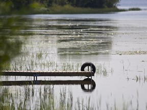 Typical lake at risk for swimmer's itch parasite